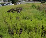 Siding in the weeds